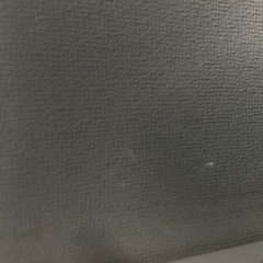 即日受渡❣️東芝去年購入24型 YouTube Netflix🆗17500円