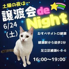 🐱保護猫譲渡会～ｻﾀﾃﾞｰﾅｲﾄは譲渡会night～🐱