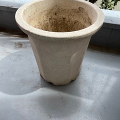 白の植木鉢
