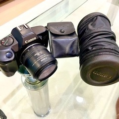 Canon EOS 850 QD  一眼レフ　カメラ　フィルム　