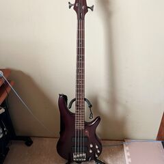 Ibanez SR500