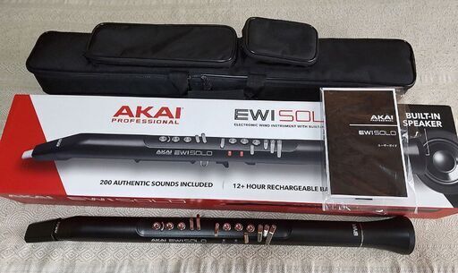 AKAI EWI SOLO 専用ケース付き ほぼ未使用品 | noonanwaste.com