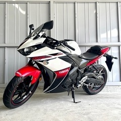 【ネット決済】埼玉県発!! ヤマハ YZF-R25 RG10J ...