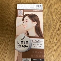 Liese 泡カラー　差し上げます♪【お取引中】