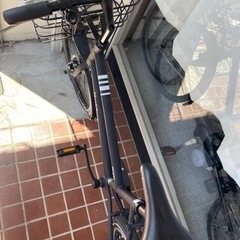 ブリチストン　Mark Rosa.