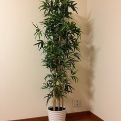 人工観葉植物　フェイクグリーン