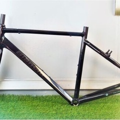 Bianchi ROMA フレームセット フルカーボンフォーク