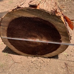 掛け軸 竹中白映 武者 絹本 希少 軸装 茶道具 掛軸 美品 です。