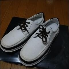 KENNETH 28.0 中古品　