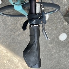 クロスバイク　ビアンキローマ2