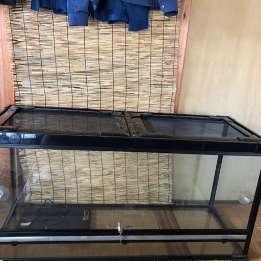 爬虫類120㎝ゲージ