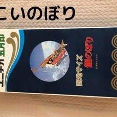 こいのぼり‼︎来年用にいかがですか(^o^)