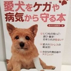 愛犬を守る本☆美品