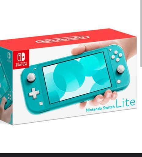 Switchライト、別売りコントローラ付！