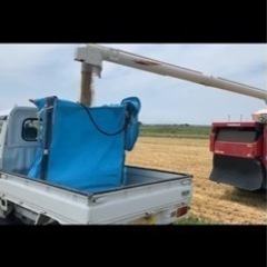軽トラでの麦の運搬作業