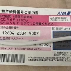【ネット決済・配送可】ANA株主優待券(2023年5月31日まで)