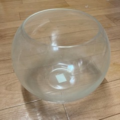 決定しました！　透明ガラス容器【金魚、メダカ、観葉植物】