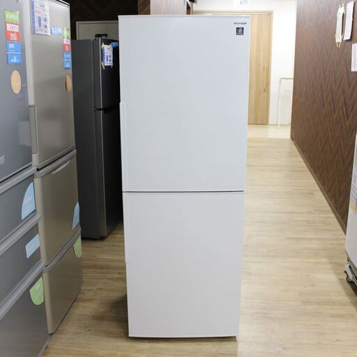 店S538)冷凍冷蔵庫 SHARP シャープ SJ-PD28G-W 2020年製 2ドア 280L プラズマクラスター シャキット野菜室 右開き ホワイト
