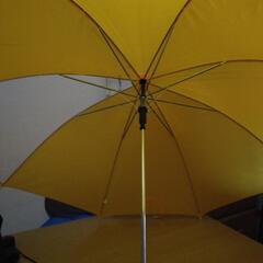 55㎝傘