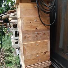 蜜蜂の巣箱      