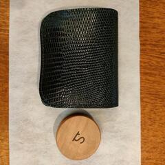 ワイルドスワンズ パーム リザード