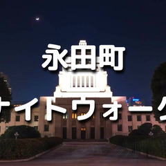 解説付き！日比谷～国会議事堂～永田町の歴史を巡る夜散歩。運動目的...