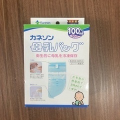 【ネット決済】【値下げ】母乳パック 42枚