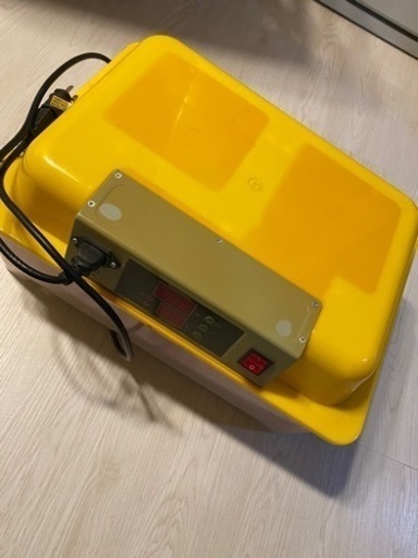孵卵器