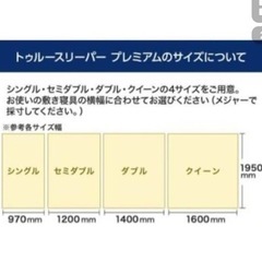 トゥルースリーパーリッチ  ダブルサイズ