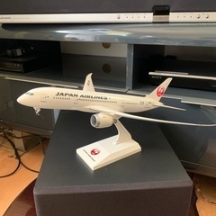 JAPAN AIRLINES  Boeing787