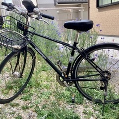 自転車　フォルクスワーゲン　黒