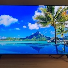 LG 2022年製 65V型4K液晶テレビ 65UP8000PJB