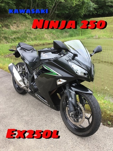カワサキ　ニンジャ250   Ninja250  好調！キレイ！
