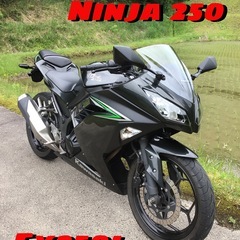 カワサキ　ニンジャ250   Ninja250  好調！キレイ！ 