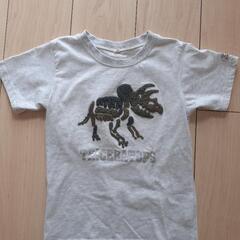 Tシャツ　恐竜　130cm