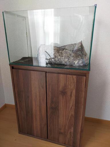【引取先決定】60センチ水槽　軽石　水槽台