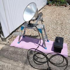 水銀灯 1000w 灯火採集 クワガタ