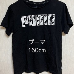 PUMA 160 Tシャツ3枚で￥1000