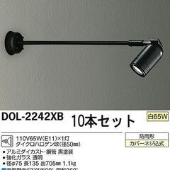 スポットライト  DOL-2242XB 大光電機 アウトドア  ...