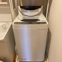 洗濯機 2021年製 6kg SHARP