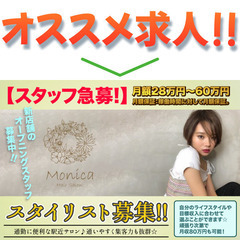 【オープニングスタッフ】Monica 新横浜店（モニカ）スタイリスト募集中!の画像