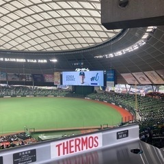 プロ野球観戦　お友達募集