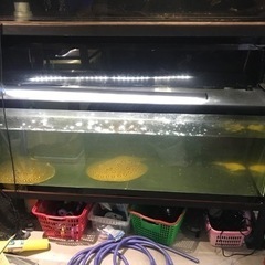 お譲り先決定！1800水槽　水槽機材 お譲り先決定！1800水槽 水槽機材