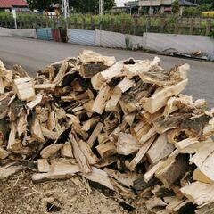 🔥キャンプ🪓薪　未乾燥不揃い薪　樫の木　米袋満載👅　🔥セ−ル期間中🔥