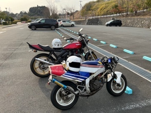 nsr50 前期