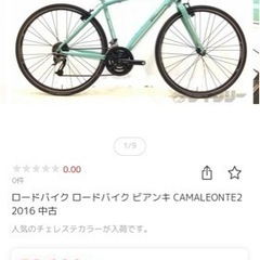 ビアンキ　カメレオンテ　多分24インチ