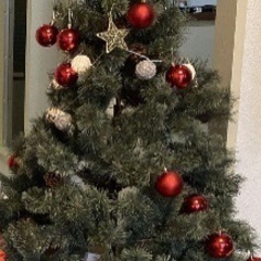 決まりましたクリスマスツリー