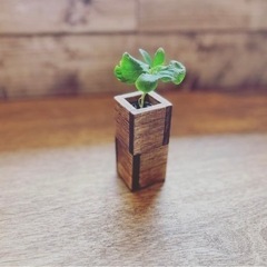 お店にて (soldout)  wood cube (mini ...