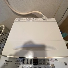 2023年3月購入　ハイセンス　洗濯機　5.5kg