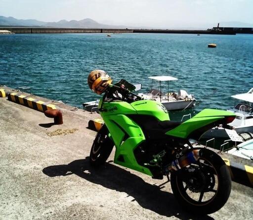 ニンジャ250r